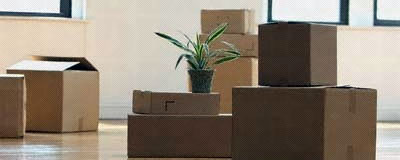 Packers Movers